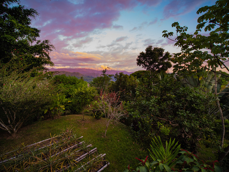 The garden at Casa de Jupiter at sunset near Dominical, Costa Rica