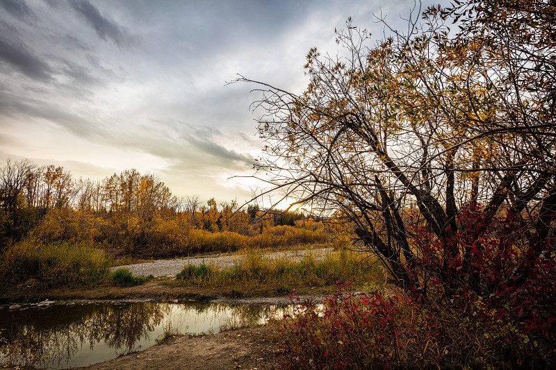 As the sun sets below the clouds in Fish Creek Provincial Park in Calgary, Alberta, Canada, the bright fall colors explode across the land
